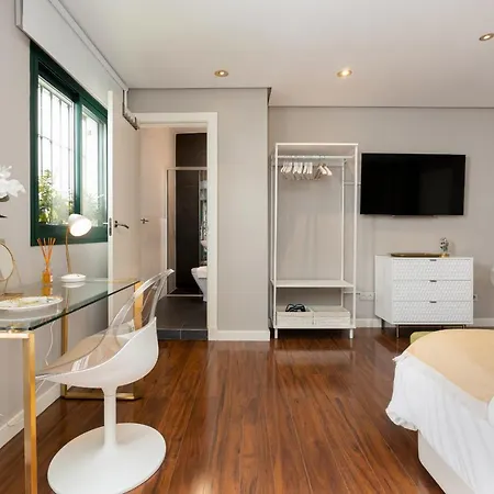 Apartment C30 Deluxe Studio With Terrace Into Cathedral Square Málaga